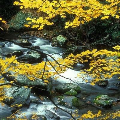 泰坦德州手游下载